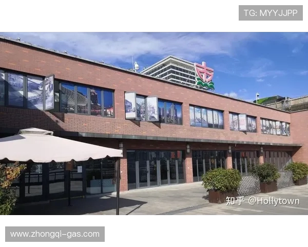 武汉滑板队运营分析：成功经验与面临挑战的全面探讨